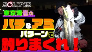 【東京湾 春のバチ＆アミパターン！】東京湾奥 春のバチ＆アミパターンで釣りまくれ！