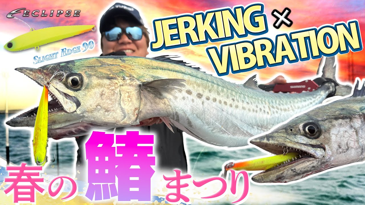 春のサワラ祭り！巷で話題の「スライトエッジ90」によるジャーキング