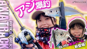 【ECLIPSE バチコン動画】アジ爆釣!釣果の鍵はロッドにあり!? モバイルロッドでENJOY バチコンアジング 千葉県木更津市 栄宝丸編