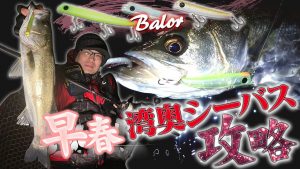 早春の東京湾奥シーバスを攻略!攻略のカギはベイトに合わせたルアーチョイス!