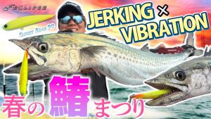 春のサワラ祭り!巷で話題の「スライトエッジ90」によるジャーキング×バイブレーション釣法を徹底検証!