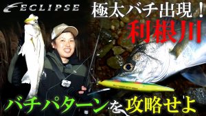 【ECLIPSEシーバス】極太バチ出現！利根川バチパターンを攻略せよ！